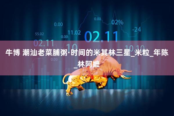牛博 潮汕老菜脯粥·时间的米其林三星_米粒_年陈_林阿嬷