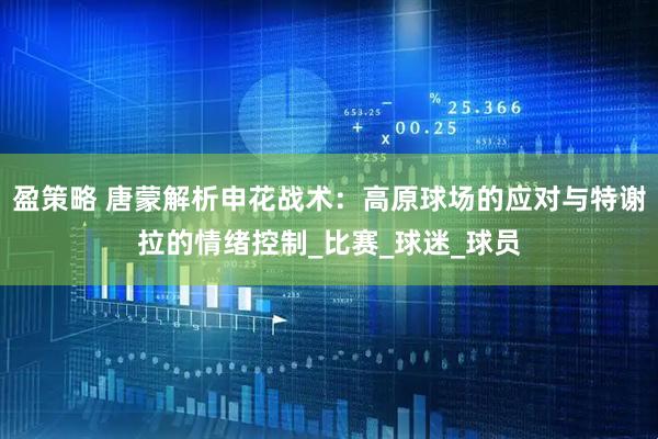 盈策略 唐蒙解析申花战术：高原球场的应对与特谢拉的情绪控制_比赛_球迷_球员
