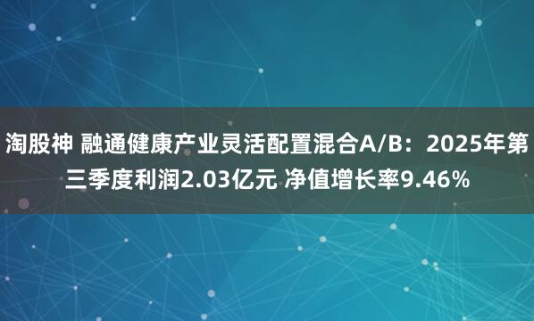 淘股神 融通健康产业灵活配置混合A/B：2025年第三季度利润2.03亿元 净值增长率9.46%