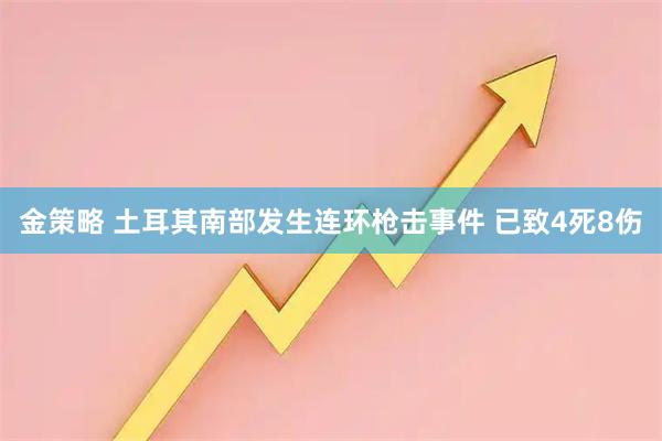 金策略 土耳其南部发生连环枪击事件 已致4死8伤